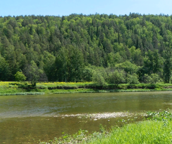 Водный сплав по реке Юрюзань от п. Вязовая до с. Павловка (длина 363 км) - фото