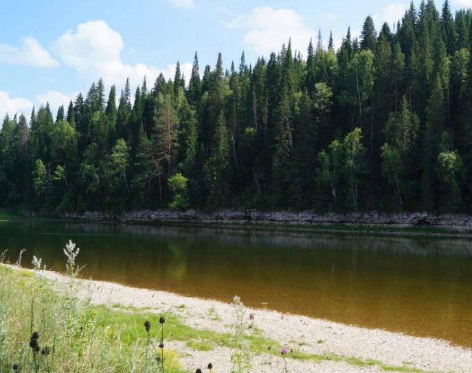 Водный сплав по реке Юрюзань от п. Вязовая до с. Павловка (длина 363 км) - фото