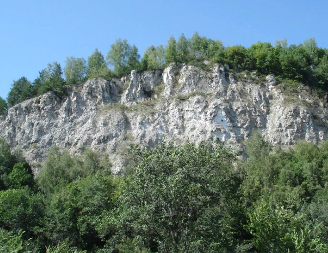 Водный сплав по реке Сим приток реки Белая от г. Аша до г. Уфа (длина 222 км) - фото