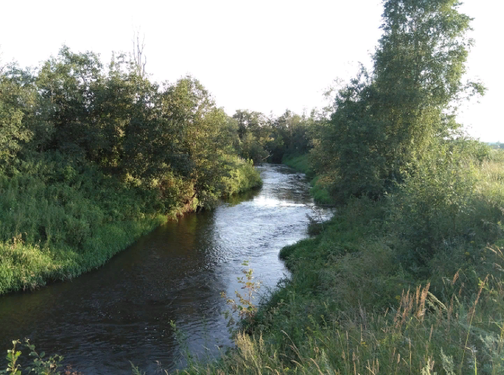 Сплав и рыбалка на реке Сестра-приток Дубны от г. Клин до д. Фёдоровка (78 км) - фото