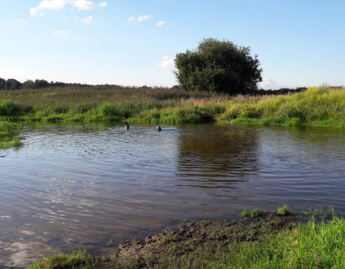 Водный сплав по р. Клязьма от г. Пушкино до г. Щелково (длина 24 км) - фото