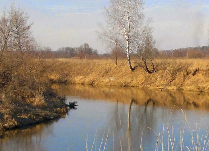 Сплав и рыбалка на реке Болва от г. Киров до г. Брянск (длина 162 км) - фото