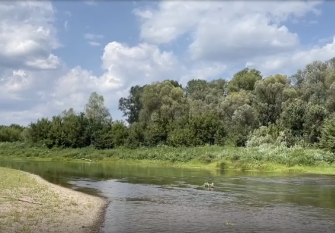 Водный сплав по реке Зилим от д. Бутаево до с. Прибельский (длина 206 км) - фото