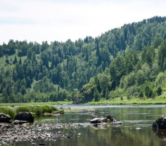 Водный сплав по реке Кондома от Таштагол до Новокузнецка (длина 317 км) - фото