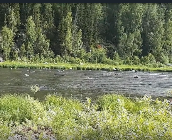 Водный сплав по реке Кондома от Таштагол до Новокузнецка (длина 317 км) - фото