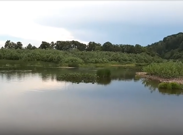 Водный сплав по реке Кондома от Таштагол до Новокузнецка (длина 317 км) - фото