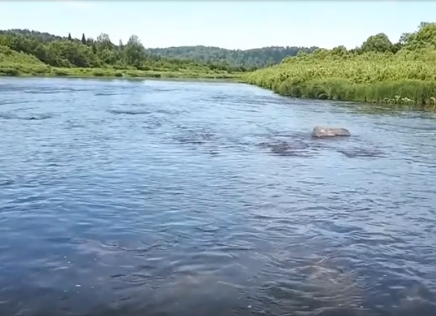 Водный сплав по реке Кондома от Таштагол до Новокузнецка (длина 317 км) - фото