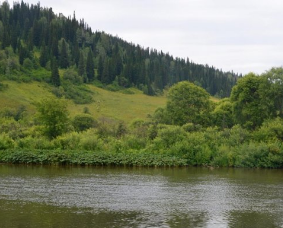 Водный сплав по реке Кондома от Таштагол до Новокузнецка (длина 317 км) - фото