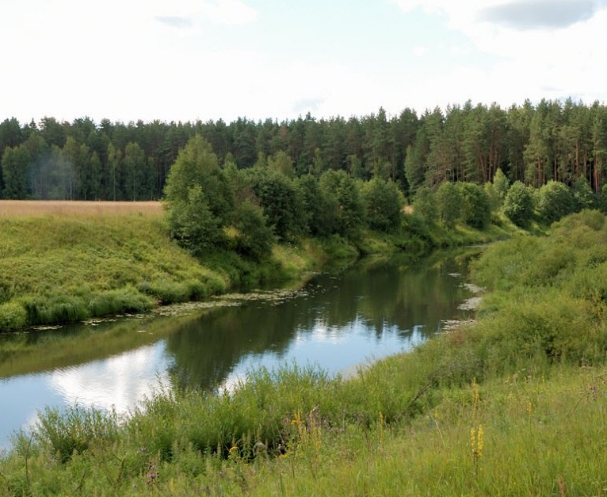 Сплав и рыбалка  на реке Шоша от с. Микулино до г. Конаково (длина 106 км) - фото