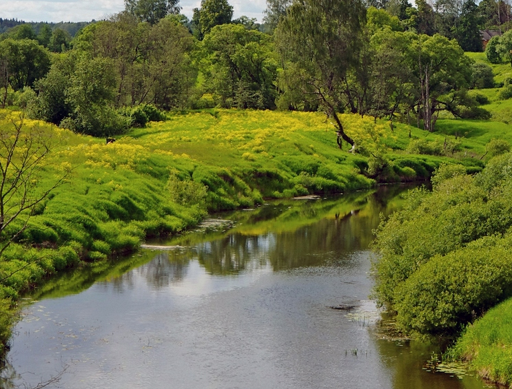 Сплав и рыбалка  на реке Шоша от с. Микулино до г. Конаково (длина 106 км) - фото