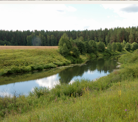 Сплав и рыбалка  на реке Шоша от с. Микулино до г. Конаково (длина 106 км) - фото