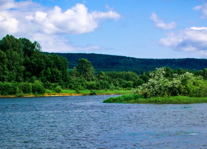 Водный сплав по реке Томь от с. Балыкса до г. Кемерово (длина 494 км) - фото