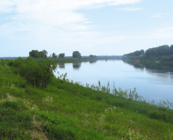 Водный сплав по рекам Ница от г. Ирбит до г. Тюмень (длина 280 км) - фото