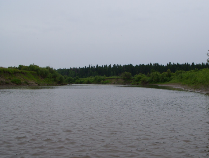 Водный сплав по рекам Ница от г. Ирбит до г. Тюмень (длина 280 км) - фото