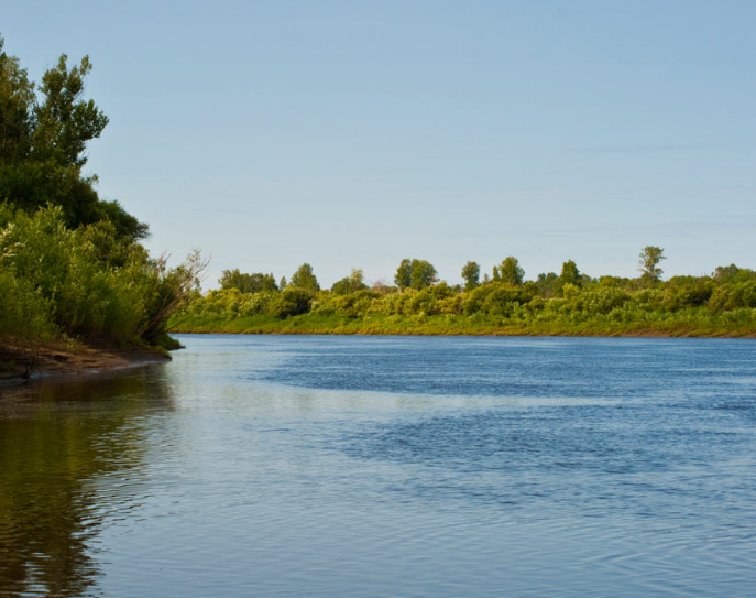 Водный сплав по рекам Ница от г. Ирбит до г. Тюмень (длина 280 км) - фото