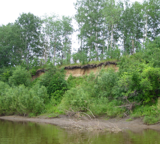 Водный сплав по рекам Ница от г. Ирбит до г. Тюмень (длина 280 км) - фото