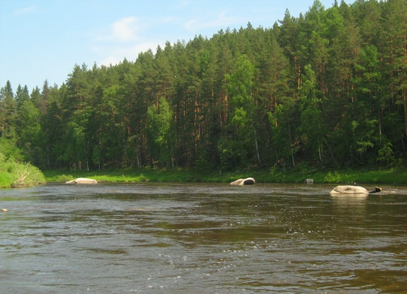 Водный сплав по рекам Нейва и Ница от Алапаевска до Ирбит (длина 169 км) - фото