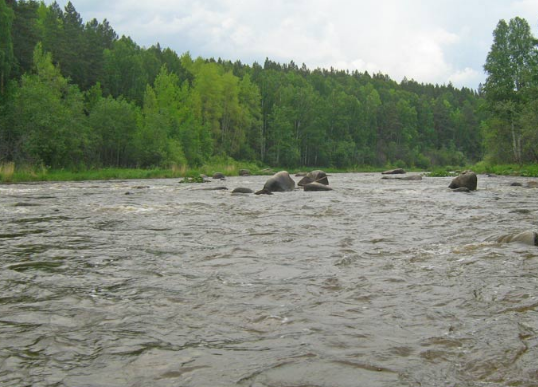 Водный сплав по рекам Нейва и Ница от Алапаевска до Ирбит (длина 169 км) - фото