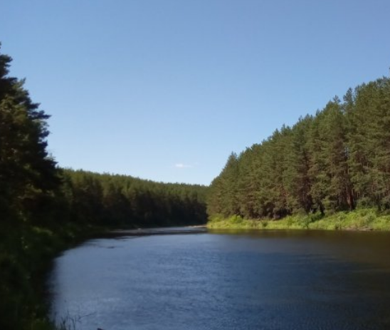 Водный сплав по рекам Нейва и Ница от Алапаевска до Ирбит (длина 169 км) - фото