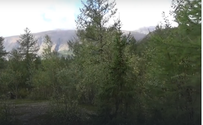 Сплав и рыбалка на реке Собь (длина маршрута 172 км) - фото