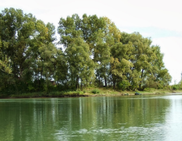 Сплав и рыбалка на реке Катунь от с. Чемал до с. Одинцовка (длина 212 км) - фото