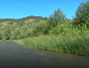 Сплав и рыбалка на реке Ик от п. Уруссу до с. Старая Матвеевка (длина 211 км) - фото