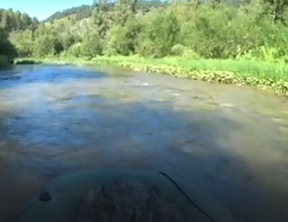Сплав и рыбалка на реке Ик от п. Уруссу до с. Старая Матвеевка (длина 211 км) - фото
