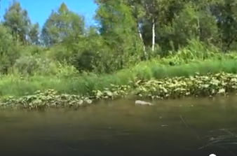 Сплав и рыбалка на реке Ик от п. Уруссу до с. Старая Матвеевка (длина 211 км) - фото