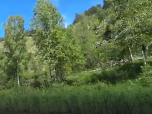 Сплав и рыбалка на реке Ик от п. Уруссу до с. Старая Матвеевка (длина 211 км) - фото