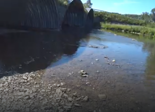 Сплав и рыбалка на реке Ик от п. Уруссу до с. Старая Матвеевка (длина 211 км) - фото