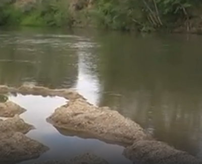 Водный сплав по реке Алей от г. Рубцовск до г. Алейск (длина 385 км) - фото