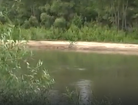 Водный сплав по реке Алей от г. Рубцовск до г. Алейск (длина 385 км) - фото