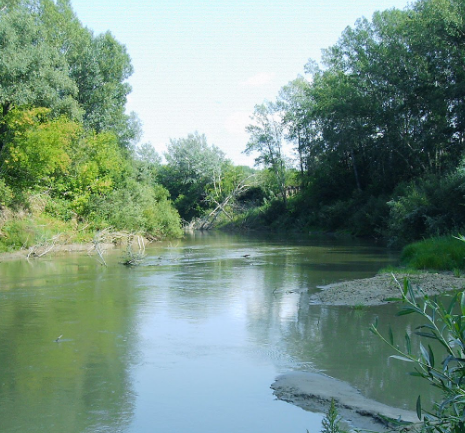 Водный сплав по реке Алей от г. Рубцовск до г. Алейск (длина 385 км) - фото