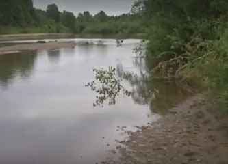 Водный сплав по реке Алей от г. Рубцовск до г. Алейск (длина 385 км) - фото