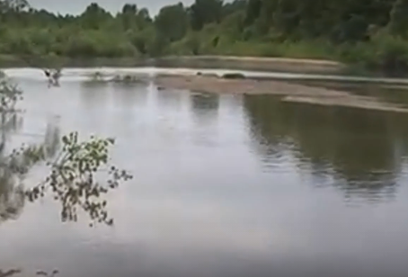 Водный сплав по реке Алей от г. Рубцовск до г. Алейск (длина 385 км) - фото