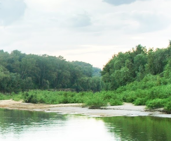 Водный сплав по реке Алей от г. Рубцовск до г. Алейск (длина 385 км) - фото