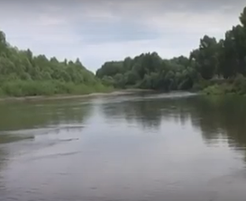 Водный сплав по реке Алей от г. Рубцовск до г. Алейск (длина 385 км) - фото