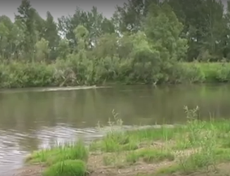 Водный сплав по реке Алей от г. Рубцовск до г. Алейск (длина 385 км) - фото