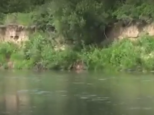 Водный сплав по реке Алей от г. Рубцовск до г. Алейск (длина 385 км) - фото