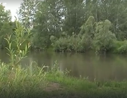 Водный сплав по реке Алей от г. Рубцовск до г. Алейск (длина 385 км) - фото