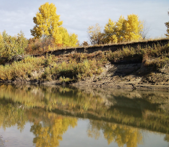 Водный сплав по реке Алей от г. Рубцовск до г. Алейск (длина 385 км) - фото