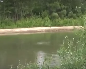 Водный сплав по реке Алей от г. Рубцовск до г. Алейск (длина 385 км) - фото