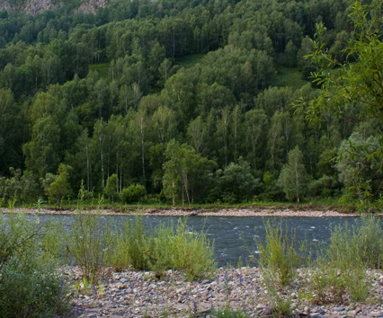 Сплав по р. Чарыш от с. Чарышское  до с. Белоглазово (длина 208 км) - фото
