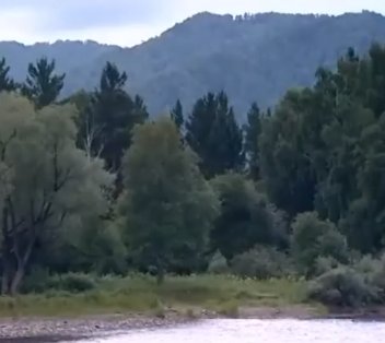 Сплав по р. Чарыш от с. Чарышское  до с. Белоглазово (длина 208 км) - фото