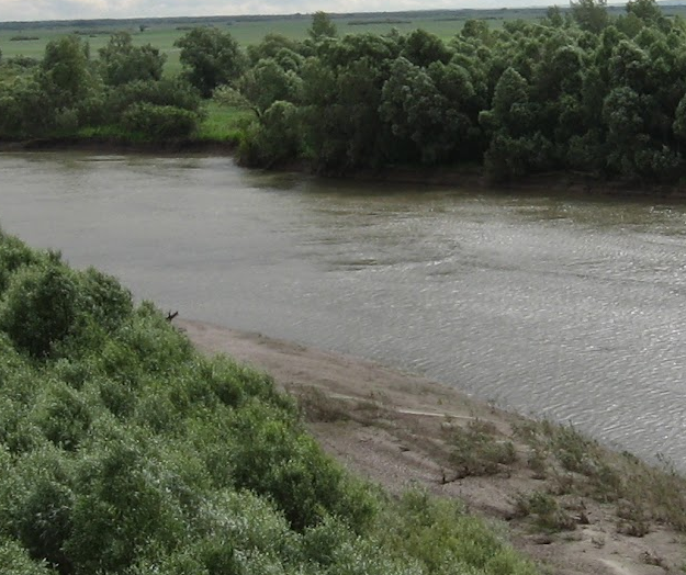 Сплав по р. Чарыш от с. Чарышское  до с. Белоглазово (длина 208 км) - фото