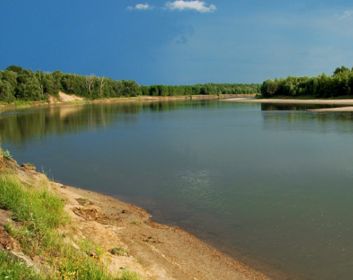 Сплав по р. Чарыш от с. Белоглазово до Усть-Чарышская Пристань (длина 169 км) - фото