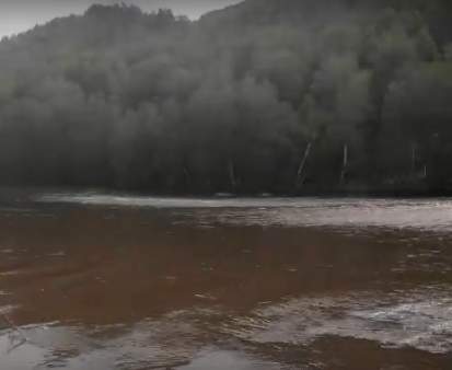 Сплав по р. Чарыш от с. Белоглазово до Усть-Чарышская Пристань (длина 169 км) - фото