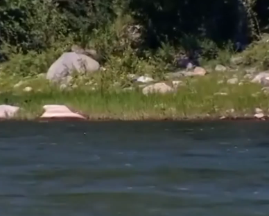 Сплав по р. Чарыш от с. Белоглазово до Усть-Чарышская Пристань (длина 169 км) - фото