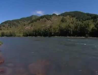 Сплав по р. Чарыш от с. Белоглазово до Усть-Чарышская Пристань (длина 169 км) - фото