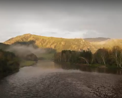 Сплав по р. Чарыш от с. Белоглазово до Усть-Чарышская Пристань (длина 169 км) - фото